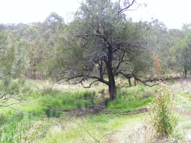 682 Kumbia Road, Ellesmere QLD 4610