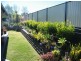 17 Daisy Court, Kingaroy QLD 4610