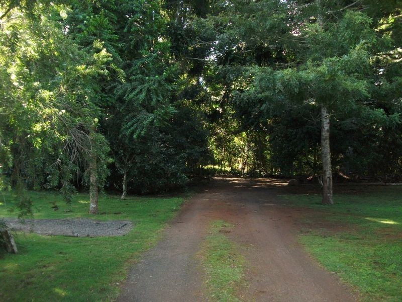 3407 Bunya Mountains Road, Bunya Mountains QLD 4405