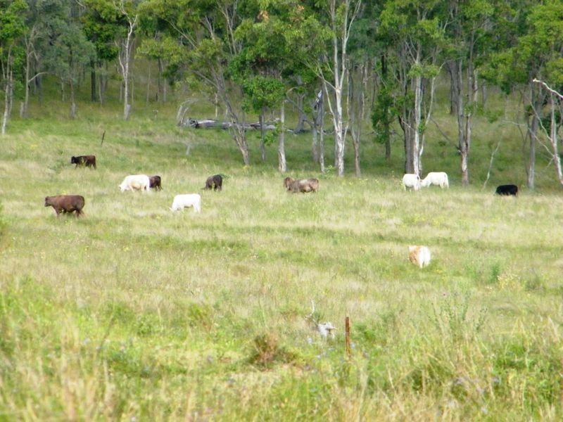 Lot 2 Cause Road, Brooklands QLD 4615