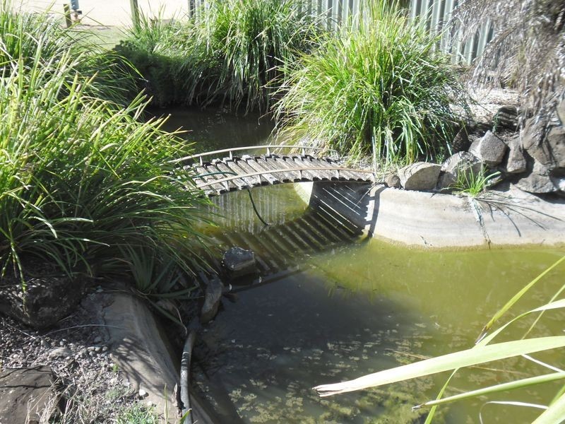 10 Elizabeth Street, Taabinga QLD 4610