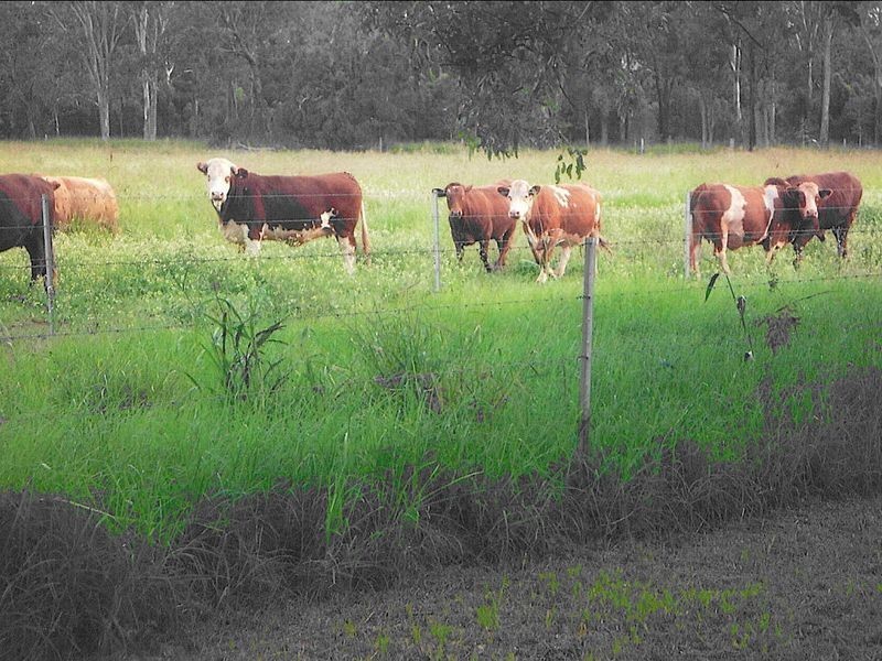 Lot 2 @ 66 Parallel Road, Wooroolin QLD 4608