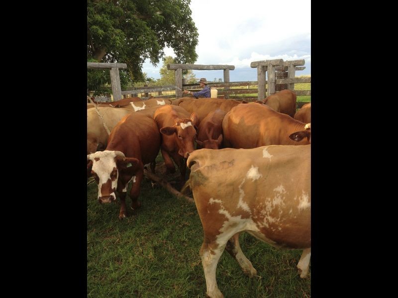 Lot 2 @ 66 Parallel Road, Wooroolin QLD 4608