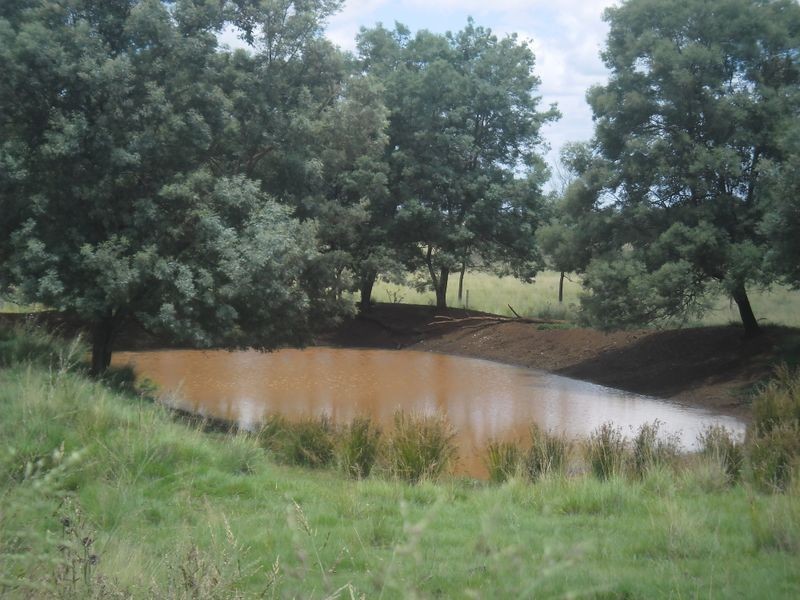 19 Ogilvys Road, Wooroolin QLD 4608