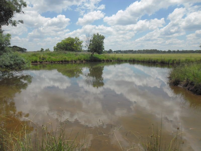 19 Ogilvys Road, Wooroolin QLD 4608