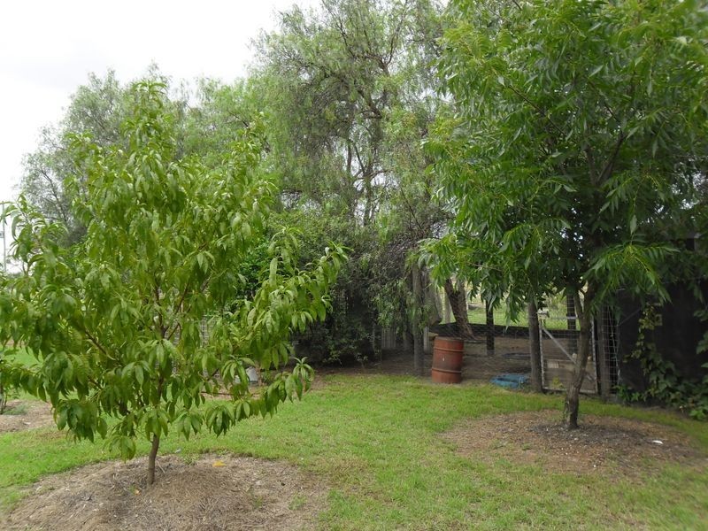 147 Toomeys Road, Taabinga QLD 4610