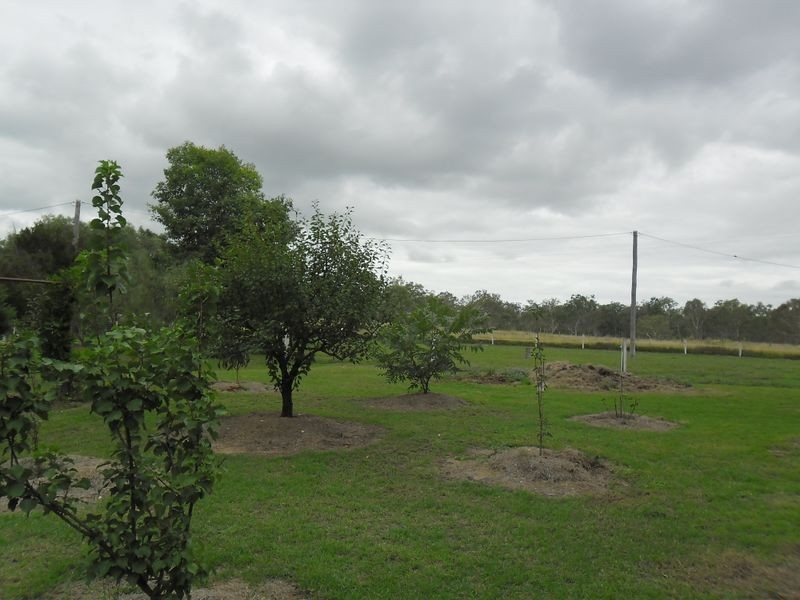 147 Toomeys Road, Taabinga QLD 4610