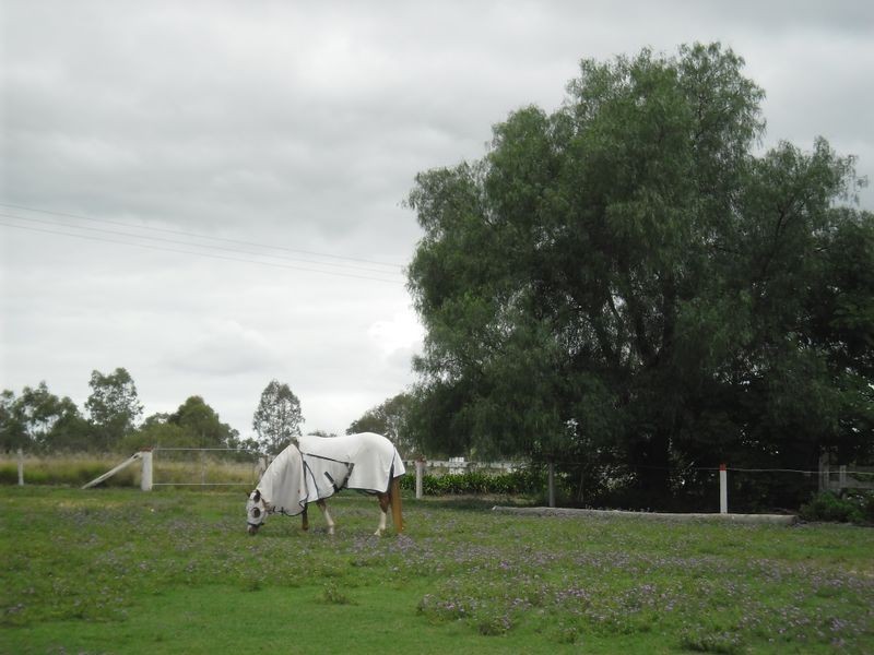 147 Toomeys Road, Taabinga QLD 4610