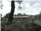 147 Toomeys Road, Taabinga QLD 4610