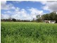32 Transmitter Road, Wooroolin QLD 4608