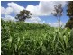 32 Transmitter Road, Wooroolin QLD 4608