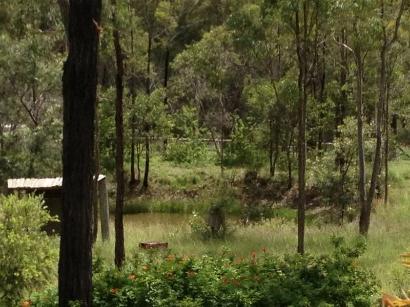 268 Brocklehurst Road, Wattle Camp QLD 4615