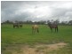 207 Stuart Valley Drive, Goodger QLD 4610