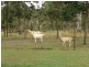 138 Allens Road, South Nanango QLD 4615