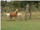 138 Allens Road, South Nanango QLD 4615
