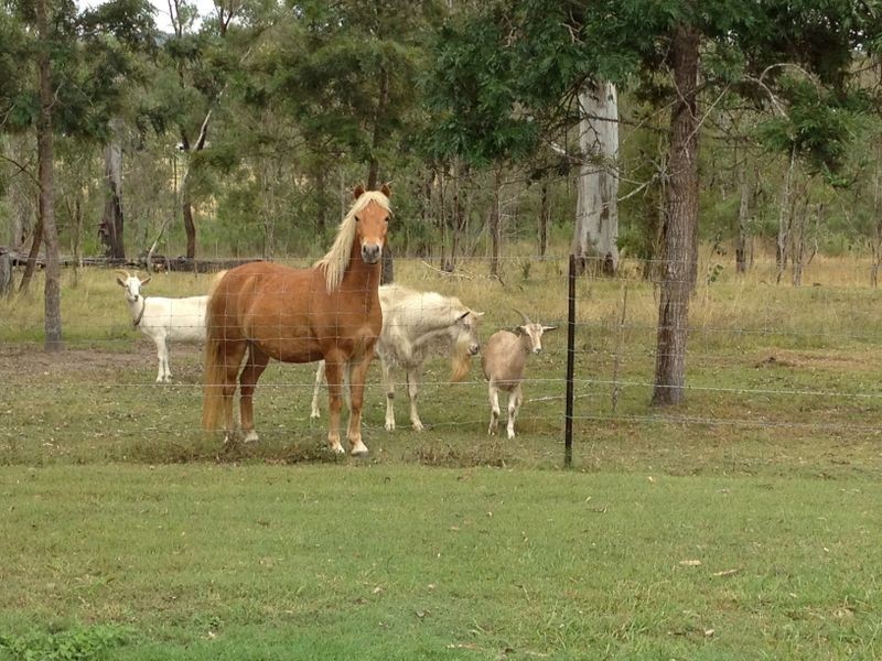 138 Allens Road, South Nanango QLD 4615