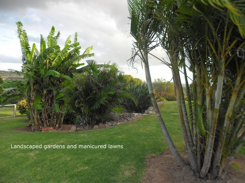 1 Freeman Court, Kingaroy QLD 4610