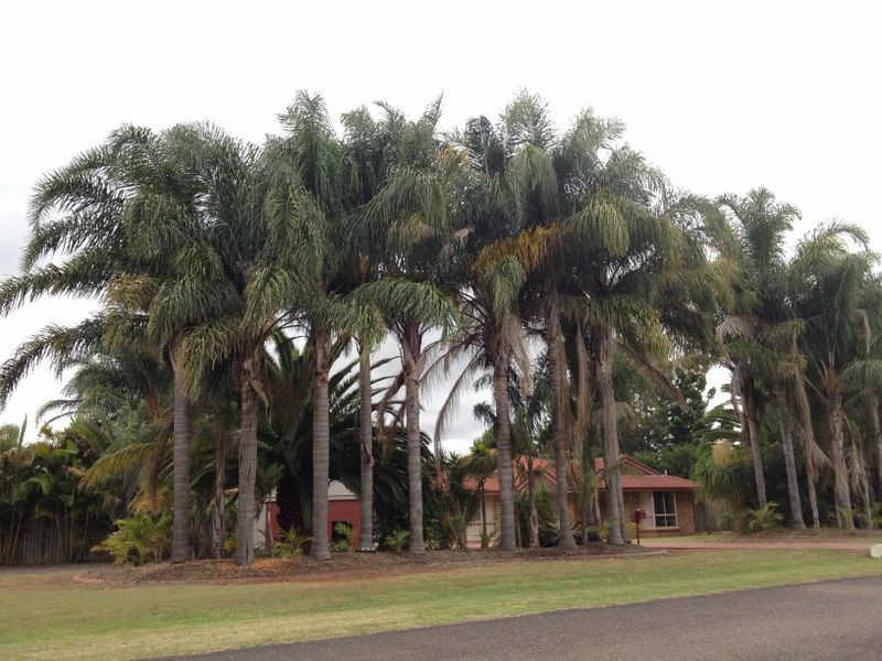 18 Bella Vista Avenue, Kingaroy QLD 4610