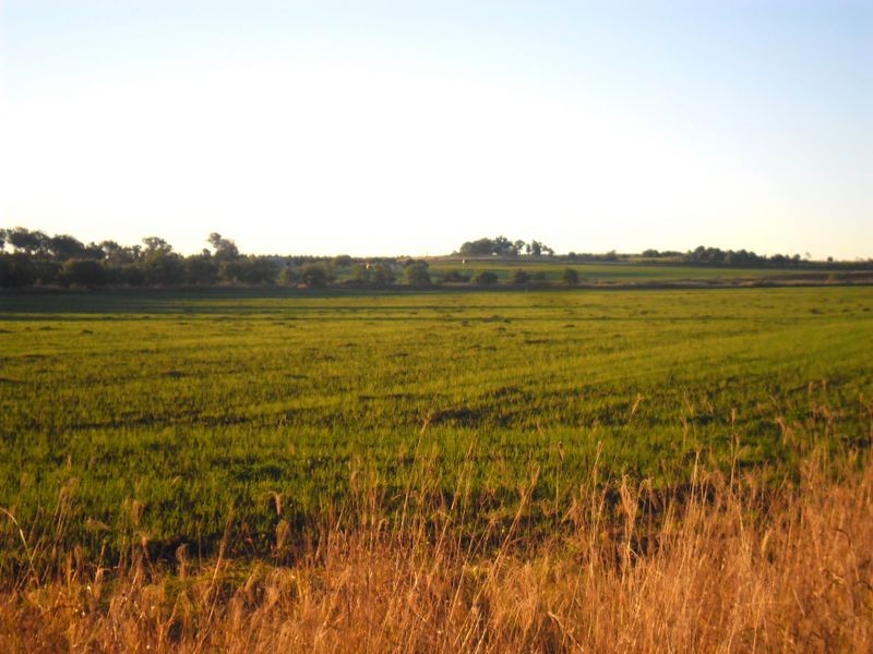 Lot 87 Ogilvys Road, Wooroolin QLD 4608