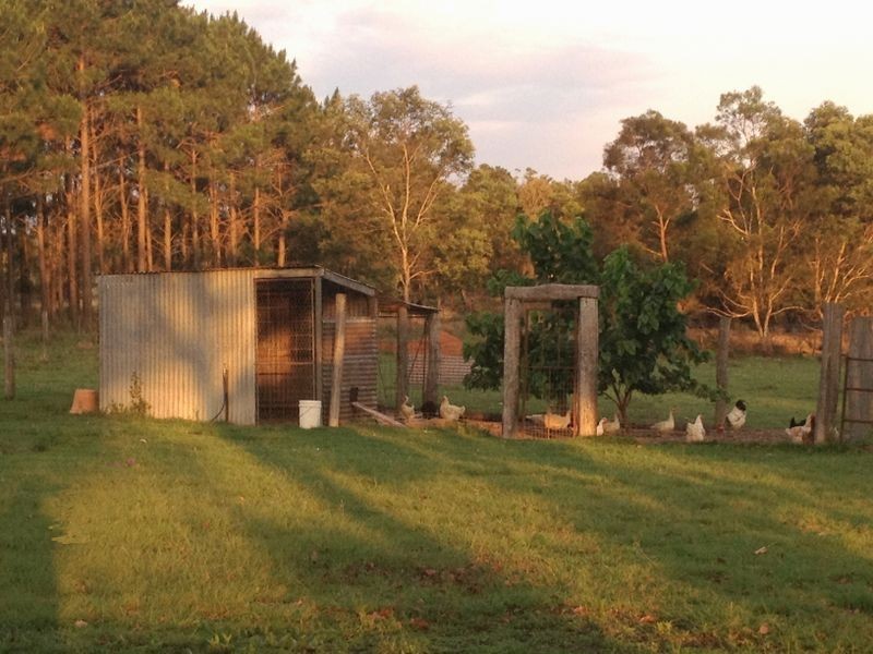 377 Boonenne Ellesmere Road, Taabinga QLD 4610