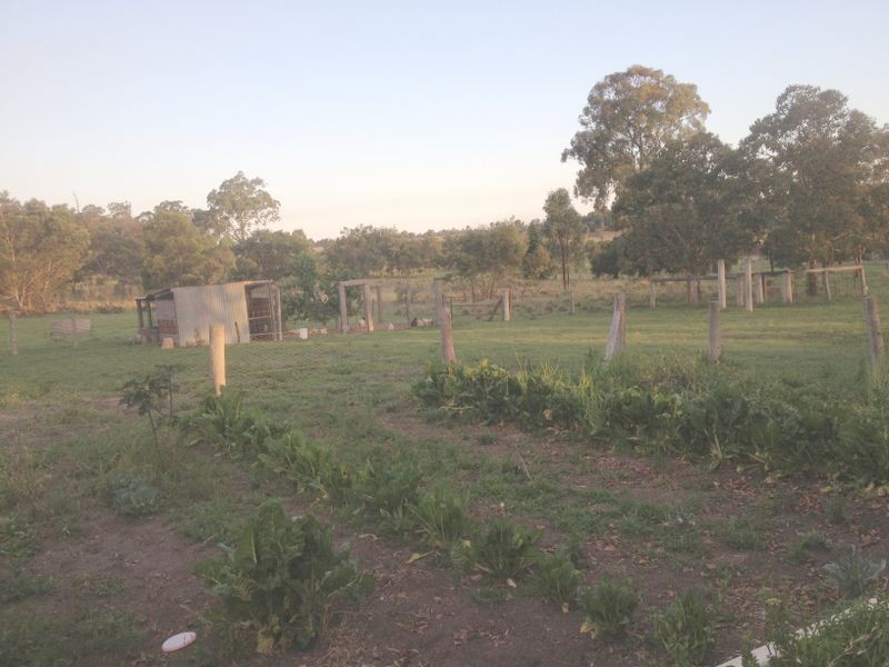 377 Boonenne Ellesmere Road, Taabinga QLD 4610