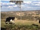 75 Acacia Drive, Ellesmere QLD 4610