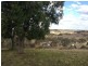 75 Acacia Drive, Ellesmere QLD 4610