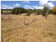 347 Izzards Road, Nanango QLD 4615