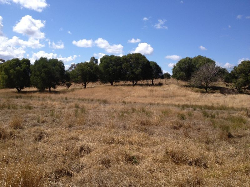 347 Izzards Road, Nanango QLD 4615