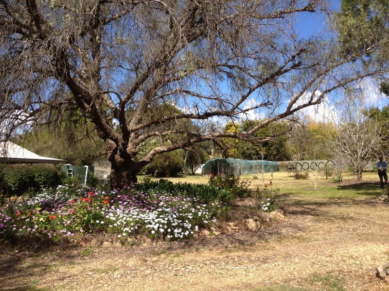347 Izzards Road, Nanango QLD 4615
