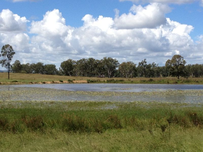 480 Wondai Proston Road, Wondai QLD 4606