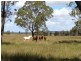 480 Wondai Proston Road, Wondai QLD 4606