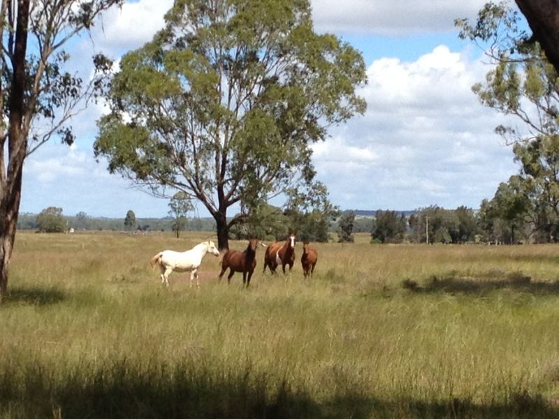 480 Wondai Proston Road, Wondai QLD 4606