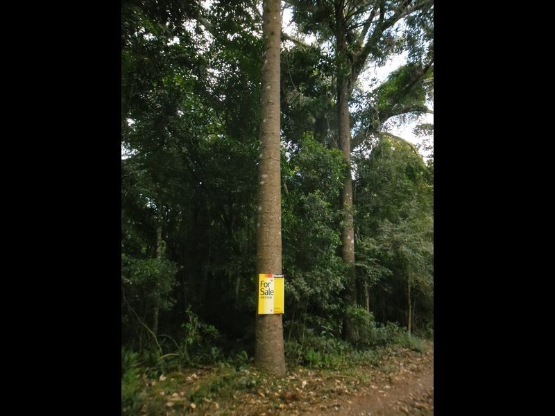 Lot 129 Grimley Street, Bunya Mountains QLD 4405