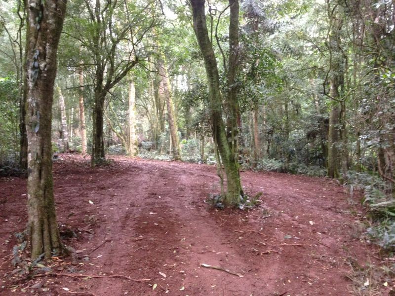 Lot 130 Grimley Street, Bunya Mountains QLD 4405