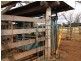 Lot 215 @ Meiers Road, Kingaroy QLD 4610