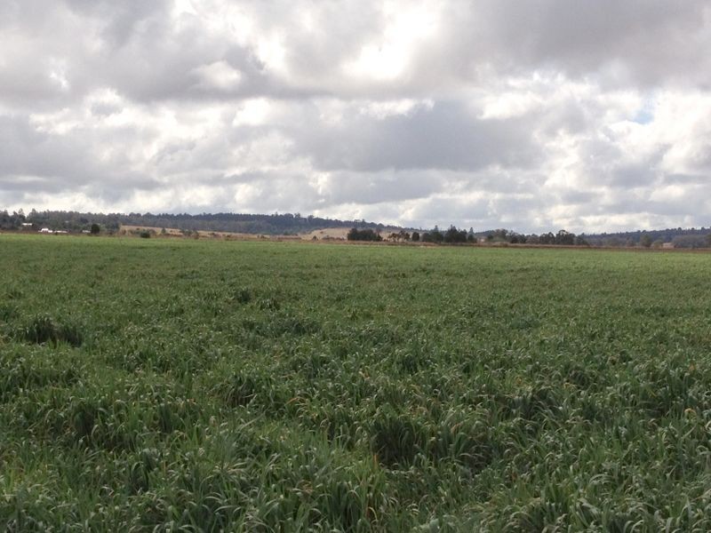 Lot 215 @ Meiers Road, Kingaroy QLD 4610