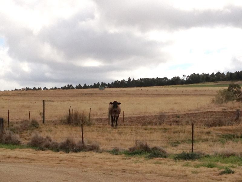 Lot 215 @ Meiers Road, Kingaroy QLD 4610