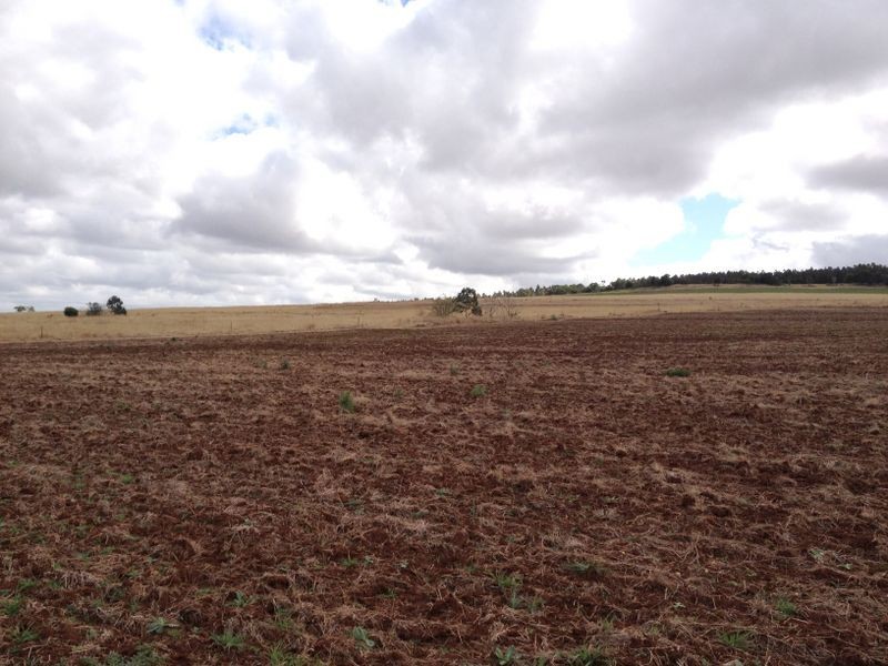 Lot 215 @ Meiers Road, Kingaroy QLD 4610