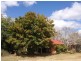 Lot 215 @ Meiers Road, Kingaroy QLD 4610