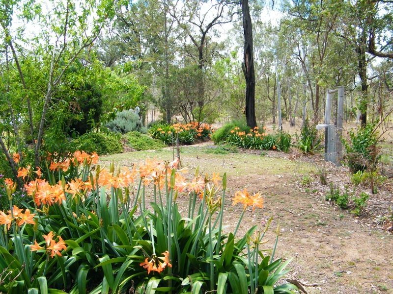 143 Franklins Road, Wattle Camp QLD 4615