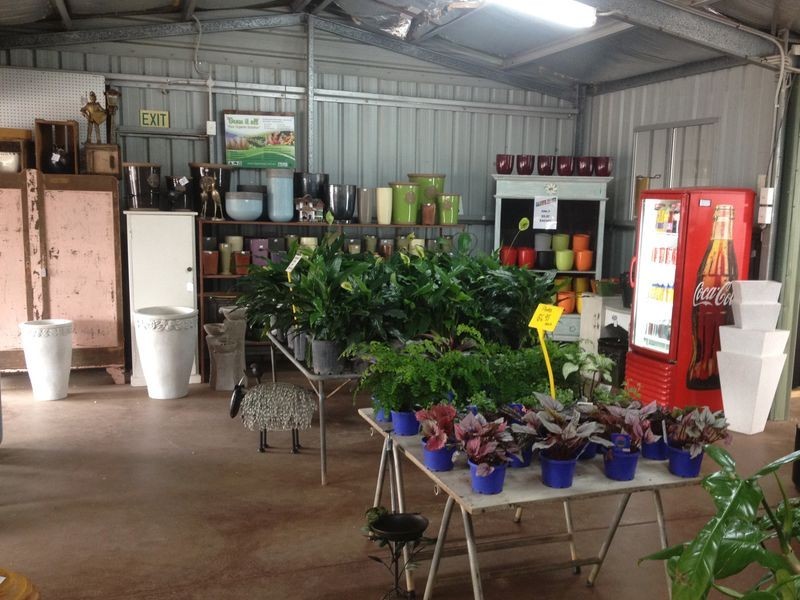 Gumtree Ga 24 Somerset Street, Kingaroy QLD 4610