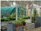Gumtree Ga 24 Somerset Street, Kingaroy QLD 4610