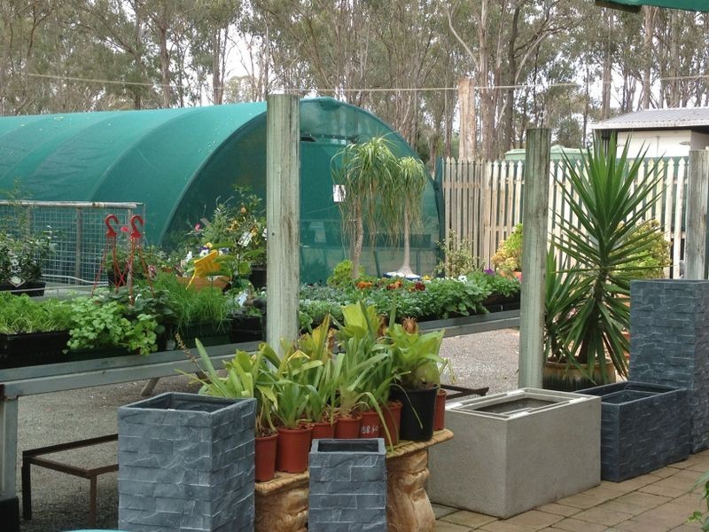 Gumtree Ga 24 Somerset Street, Kingaroy QLD 4610
