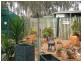 Gumtree Ga 24 Somerset Street, Kingaroy QLD 4610