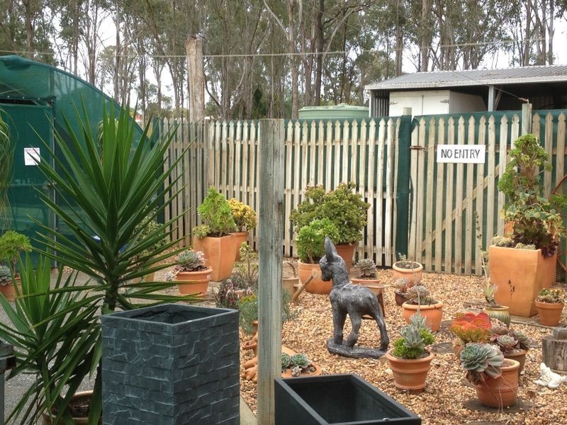 Gumtree Ga 24 Somerset Street, Kingaroy QLD 4610