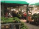 Gumtree Ga 24 Somerset Street, Kingaroy QLD 4610