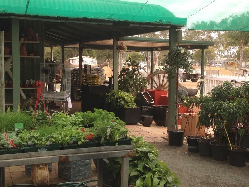 Gumtree Ga 24 Somerset Street, Kingaroy QLD 4610