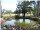 Gumtree Ga 24 Somerset Street, Kingaroy QLD 4610