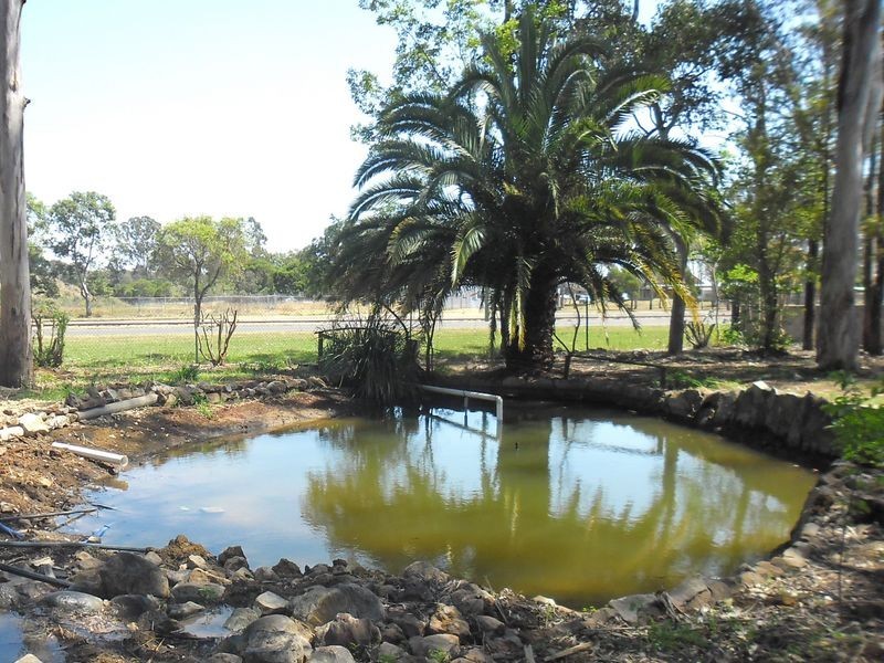 Gumtree Ga 24 Somerset Street, Kingaroy QLD 4610